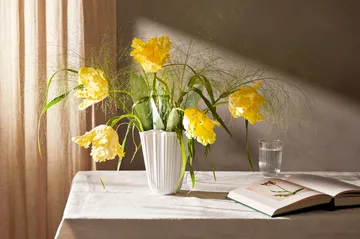 해머소이 화병 언폴드 - White, 20,5 cm - Kähler | 케흘러