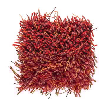 모스 러그 170x240 cm - Deep coral - Kasthall | 카스탈