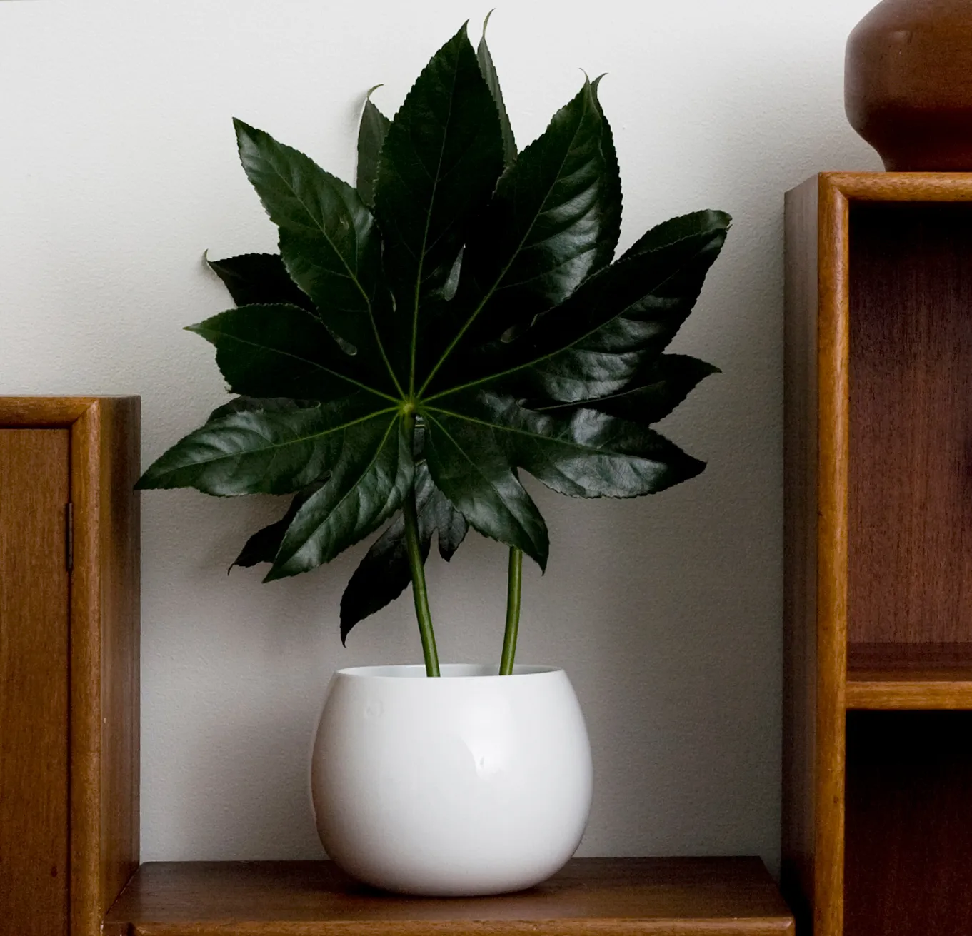 드롭 보울 Ø20.2 cm, White Kay Bojesen | 카이보예센