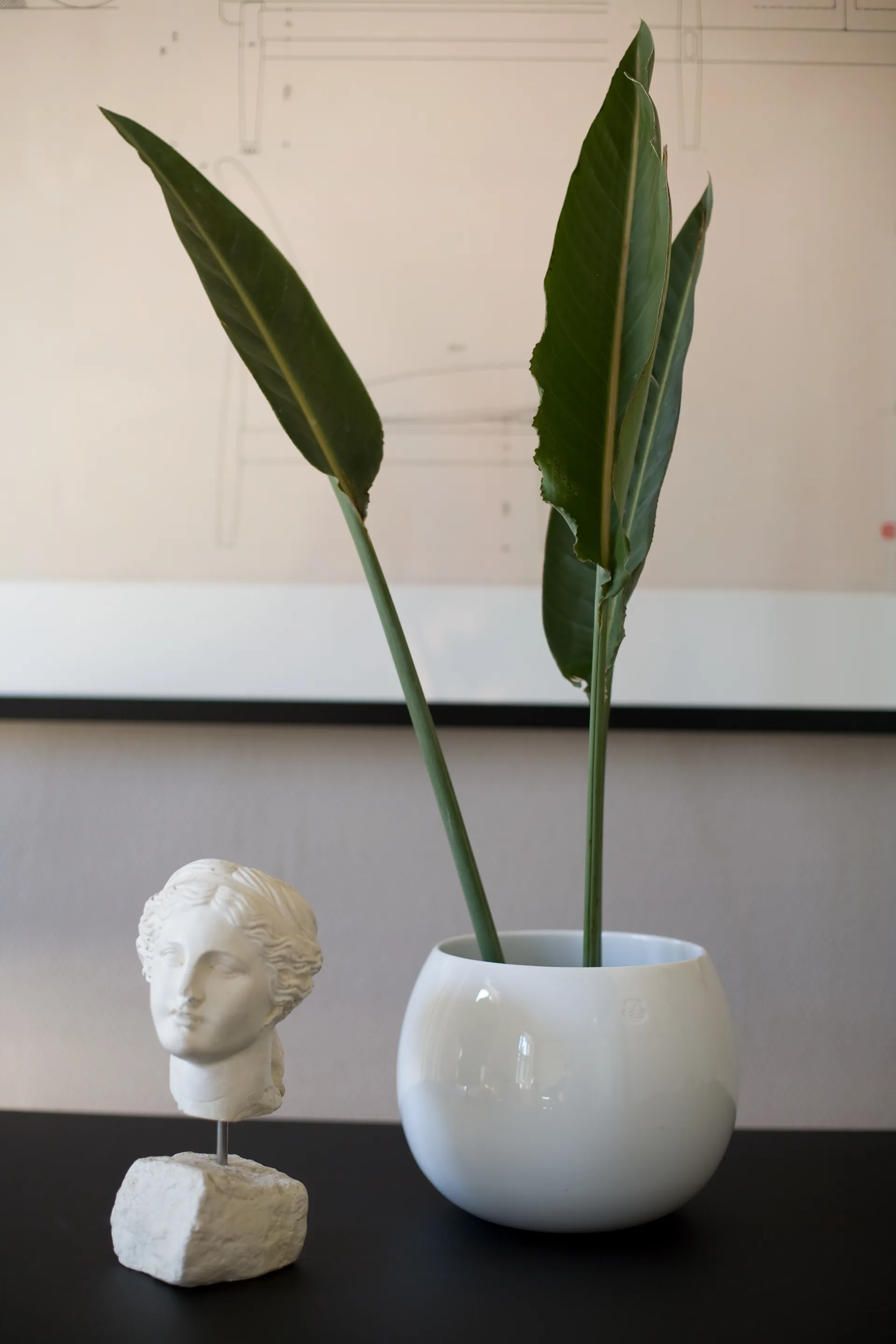 드롭 보울 Ø20.2 cm, White Kay Bojesen | 카이보예센