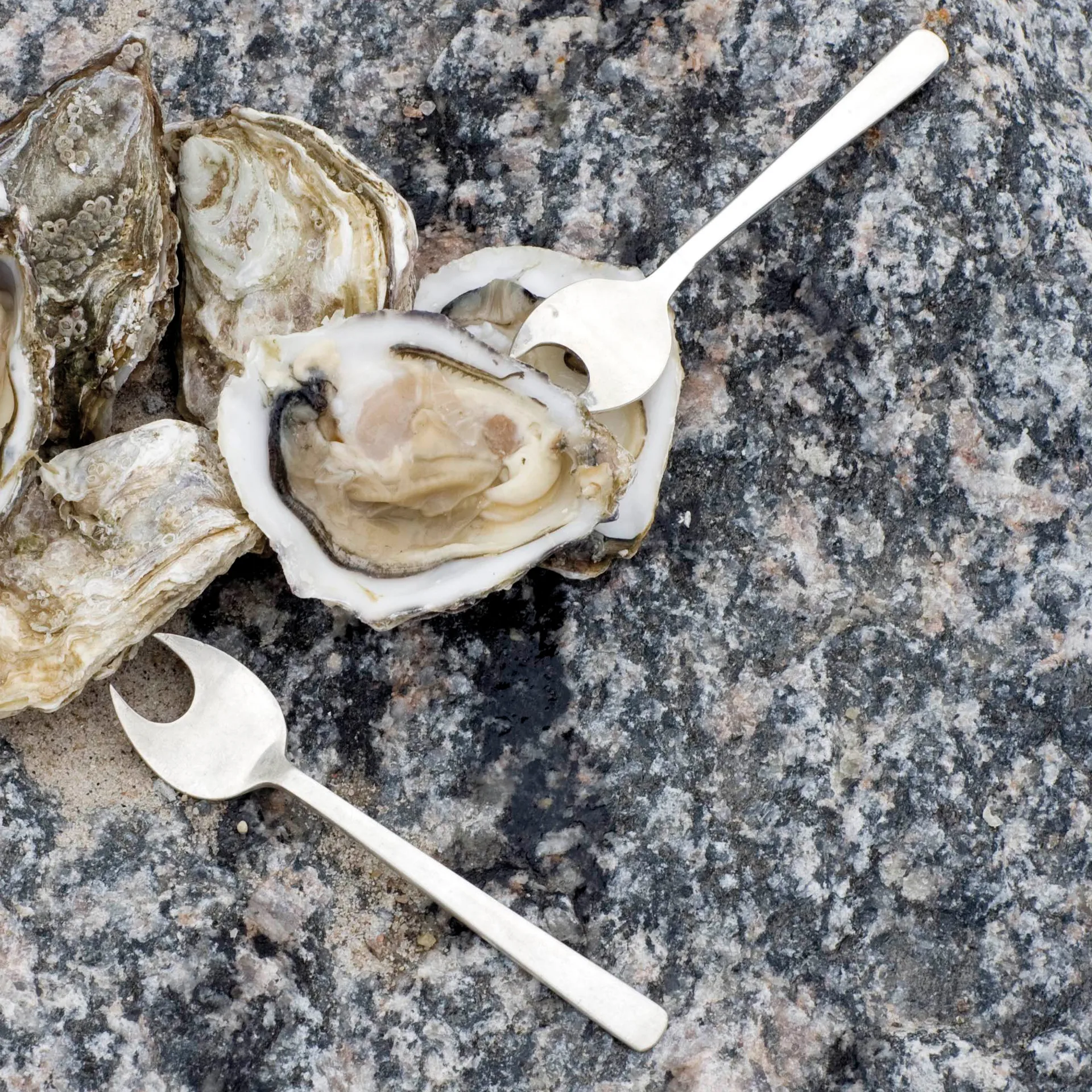 그랑프리 해산물 커트러리 8pcs, Matte steel Kay Bojesen | 카이보예센