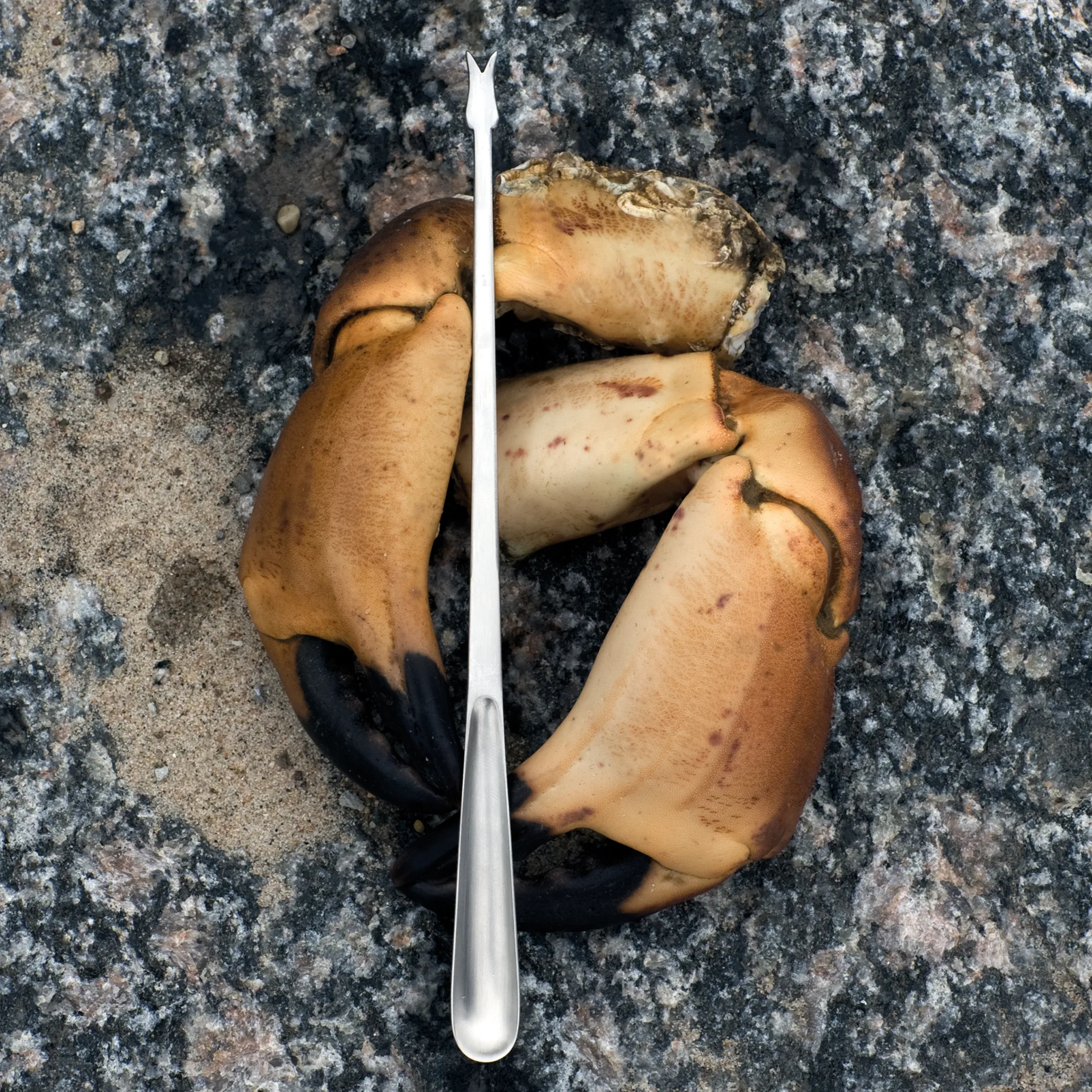 그랑프리 해산물 커트러리 8pcs, Matte steel Kay Bojesen | 카이보예센