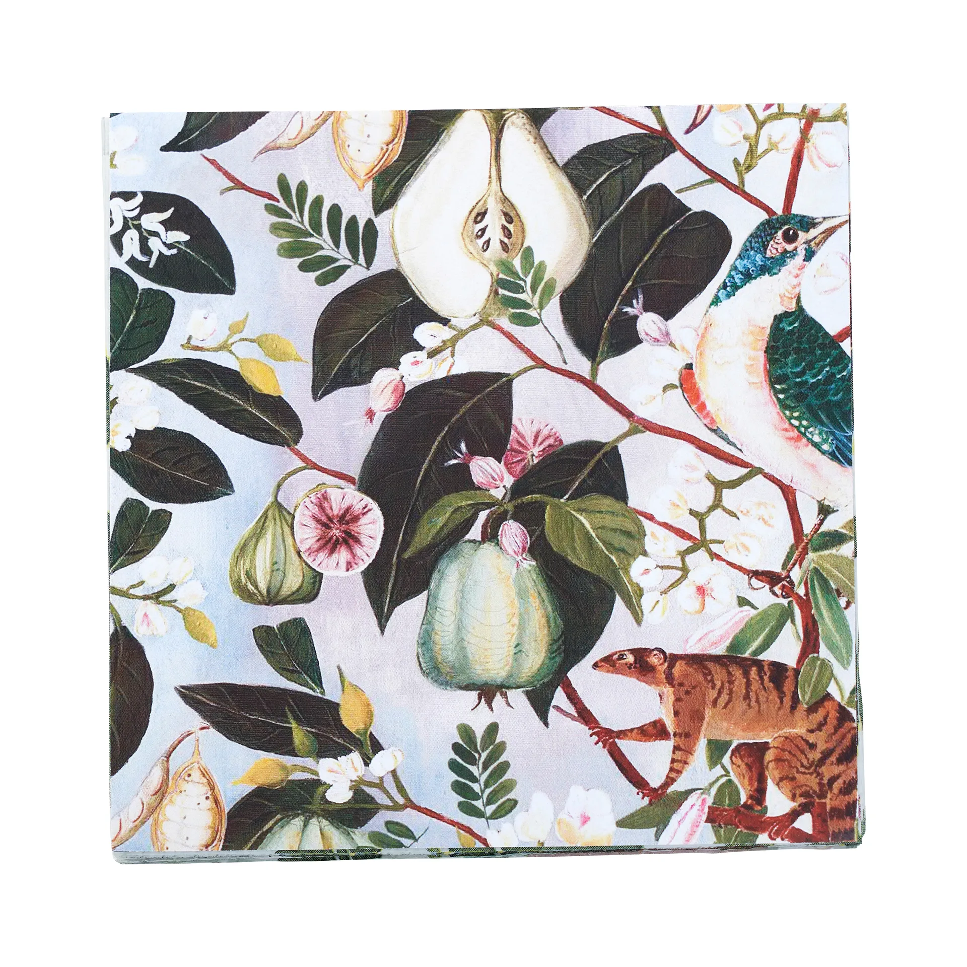 푸르츠 냅킨 20개 세트, multi Klippan Yllefabrik | 클리판