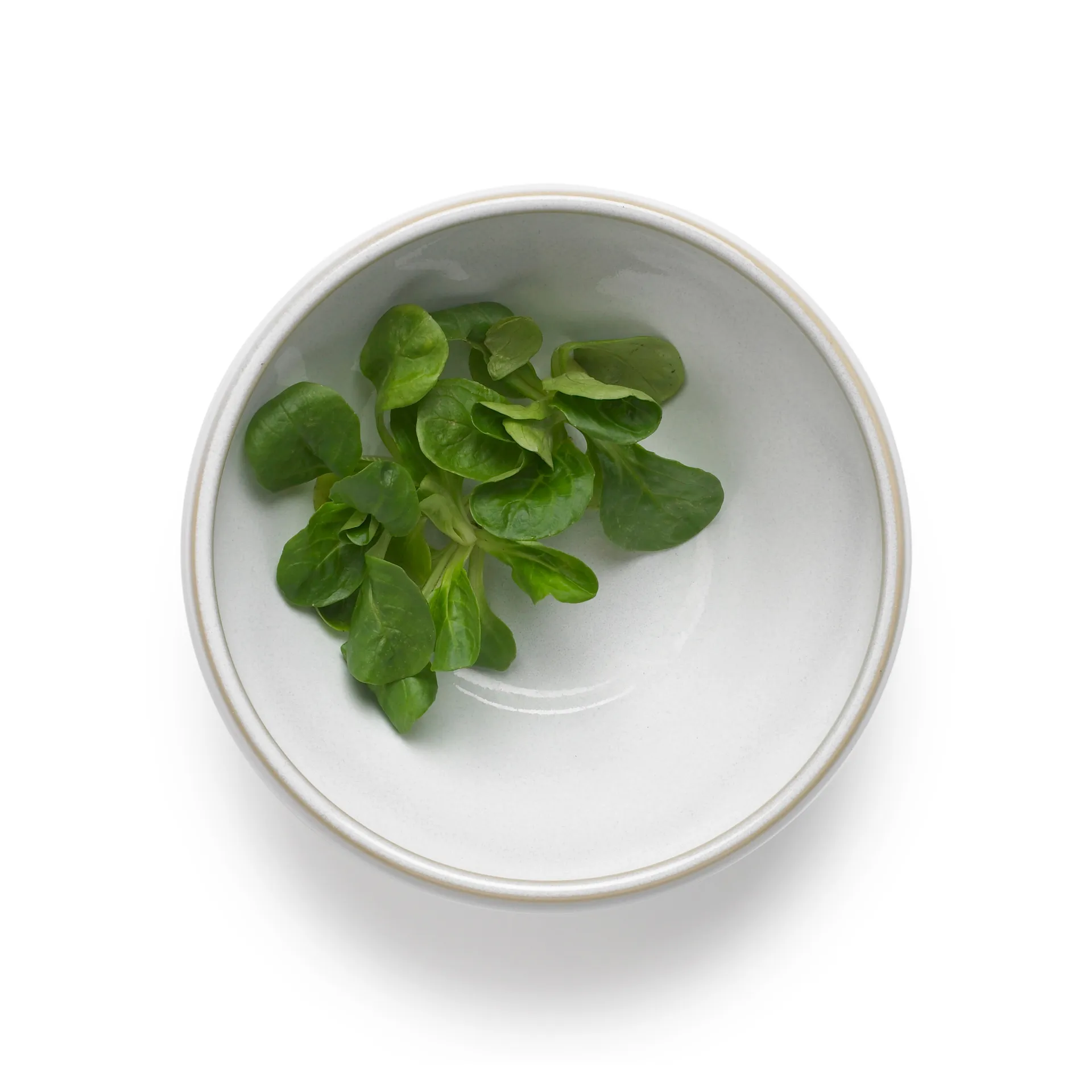 타볼라 도우 보울 0.5 L 2개 세트, White Knabstrup Keramik | 크납스트럽 세라믹