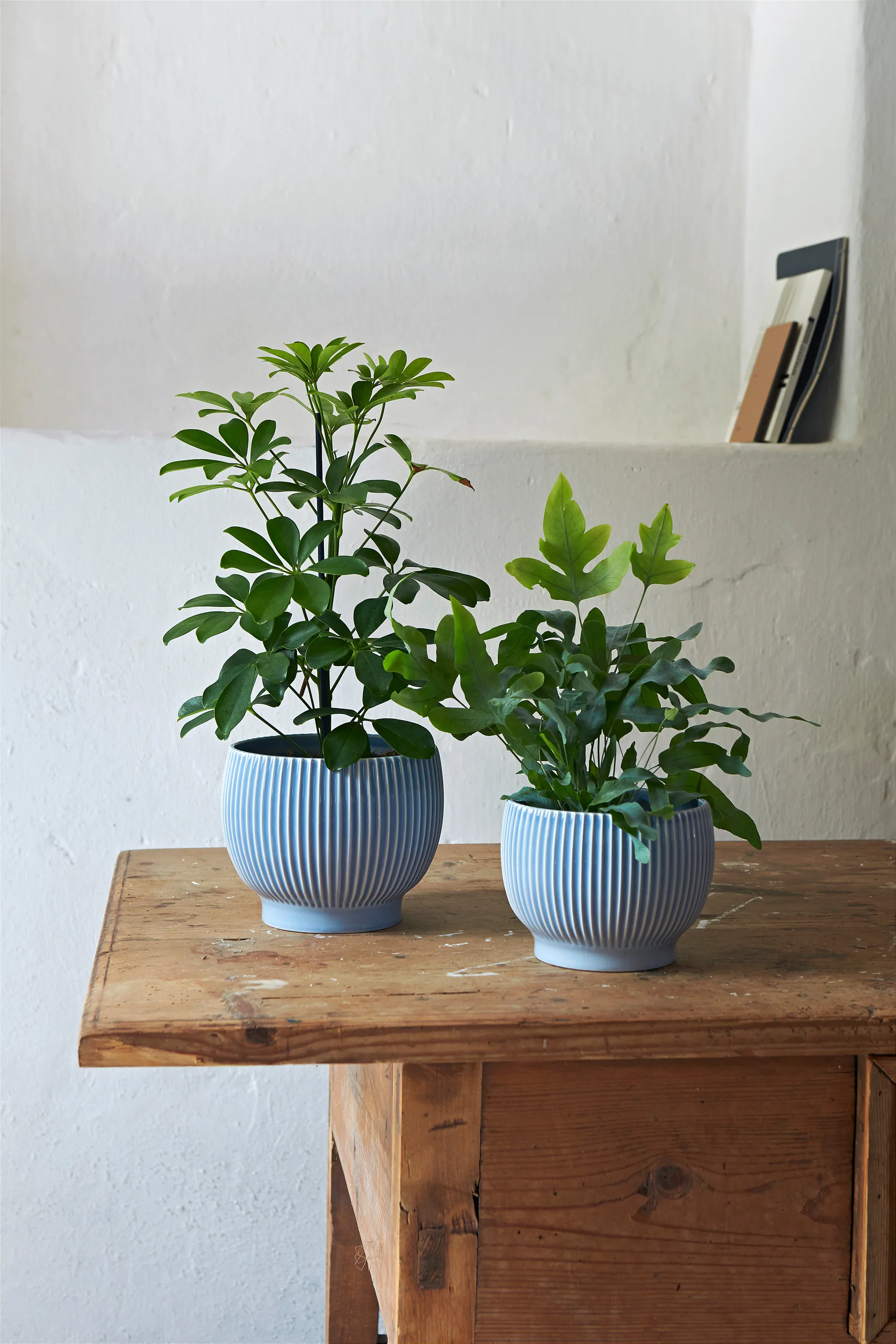 크납스트럽 화분 플루티드 Ø14.5 cm, Lavender blue Knabstrup Keramik | 크납스트럽 세라믹