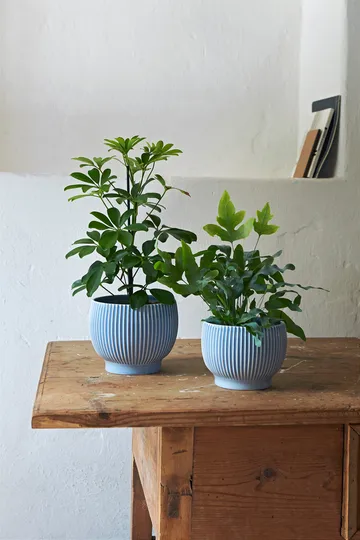 크납스트럽 화분 플루티드 Ø14.5 cm - Lavender blue - Knabstrup Keramik | 크납스트럽 세라믹