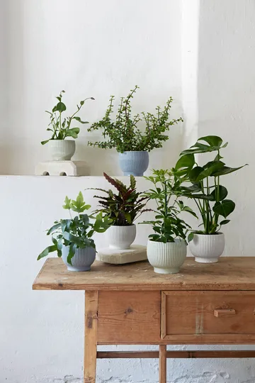 크납스트럽 화분 플루티드 Ø14.5 cm - Lavender blue - Knabstrup Keramik | 크납스트럽 세라믹
