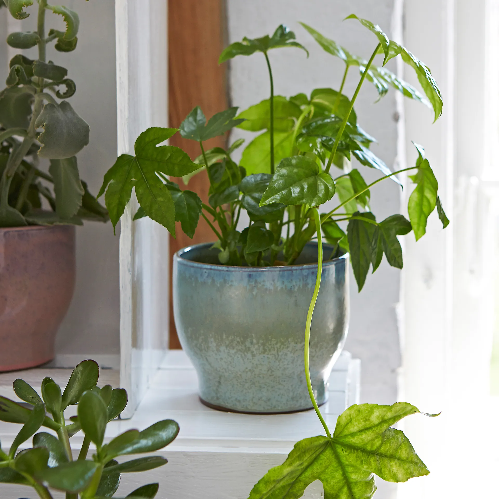 크납스트럽 아웃도어 화분 Ø14.5 cm, soft mint Knabstrup Keramik | 크납스트럽 세라믹