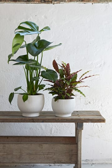 크납스트럽 화분 플루티드 Ø14.5 cm - White - Knabstrup Keramik | 크납스트럽 세라믹