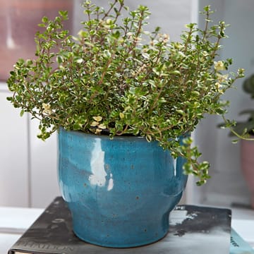 크납스트럽 아웃도어 화분 Ø16.5 cm - dusty blue - Knabstrup Keramik | 크납스트럽 세라믹
