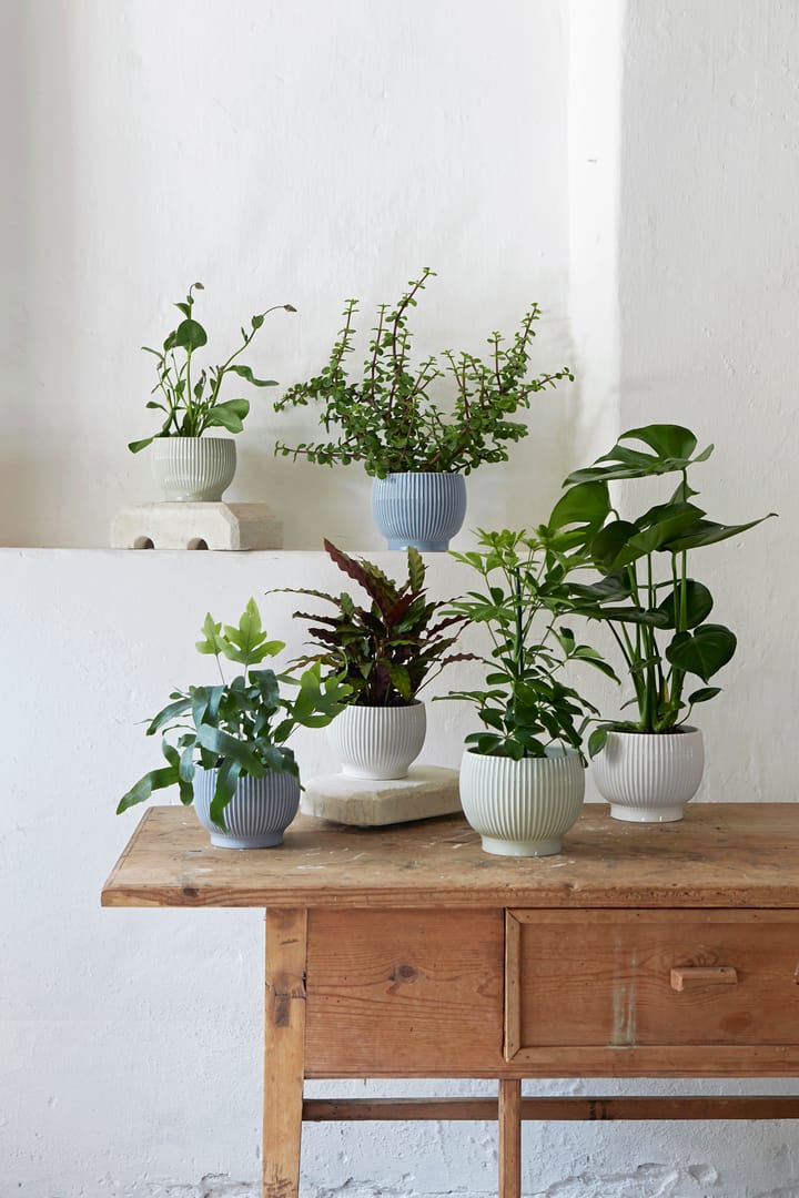 크납스트럽 화분 플루티드 Ø16.5 cm, Mintgreen Knabstrup Keramik | 크납스트럽 세라믹