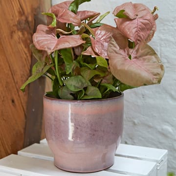 크납스트럽 아웃도어 화분 Ø16.5 cm - pink - Knabstrup Keramik | 크납스트럽 세라믹