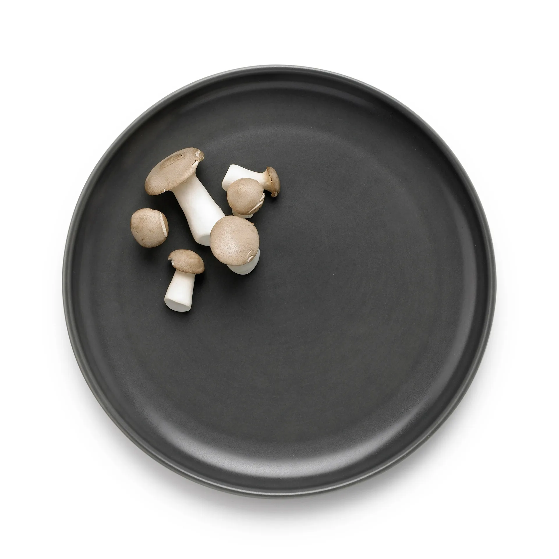 타볼라 접시 Ø27 cm 2개 세트, grey Knabstrup Keramik | 크납스트럽 세라믹