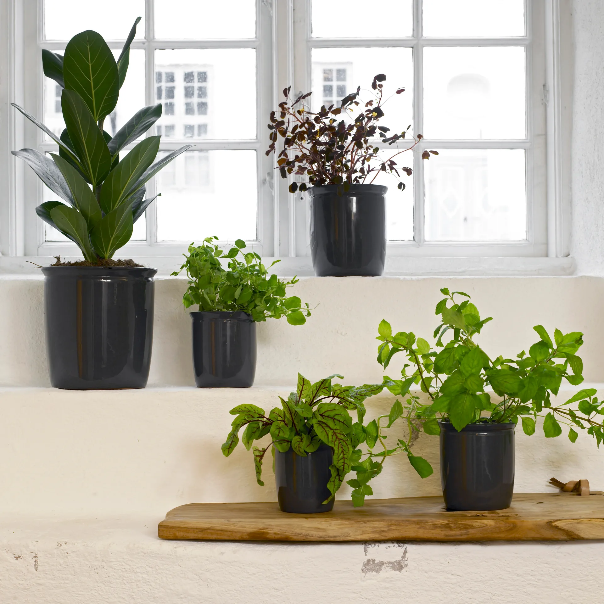 피클병 4 l, anthracite Knabstrup Keramik | 크납스트럽 세라믹