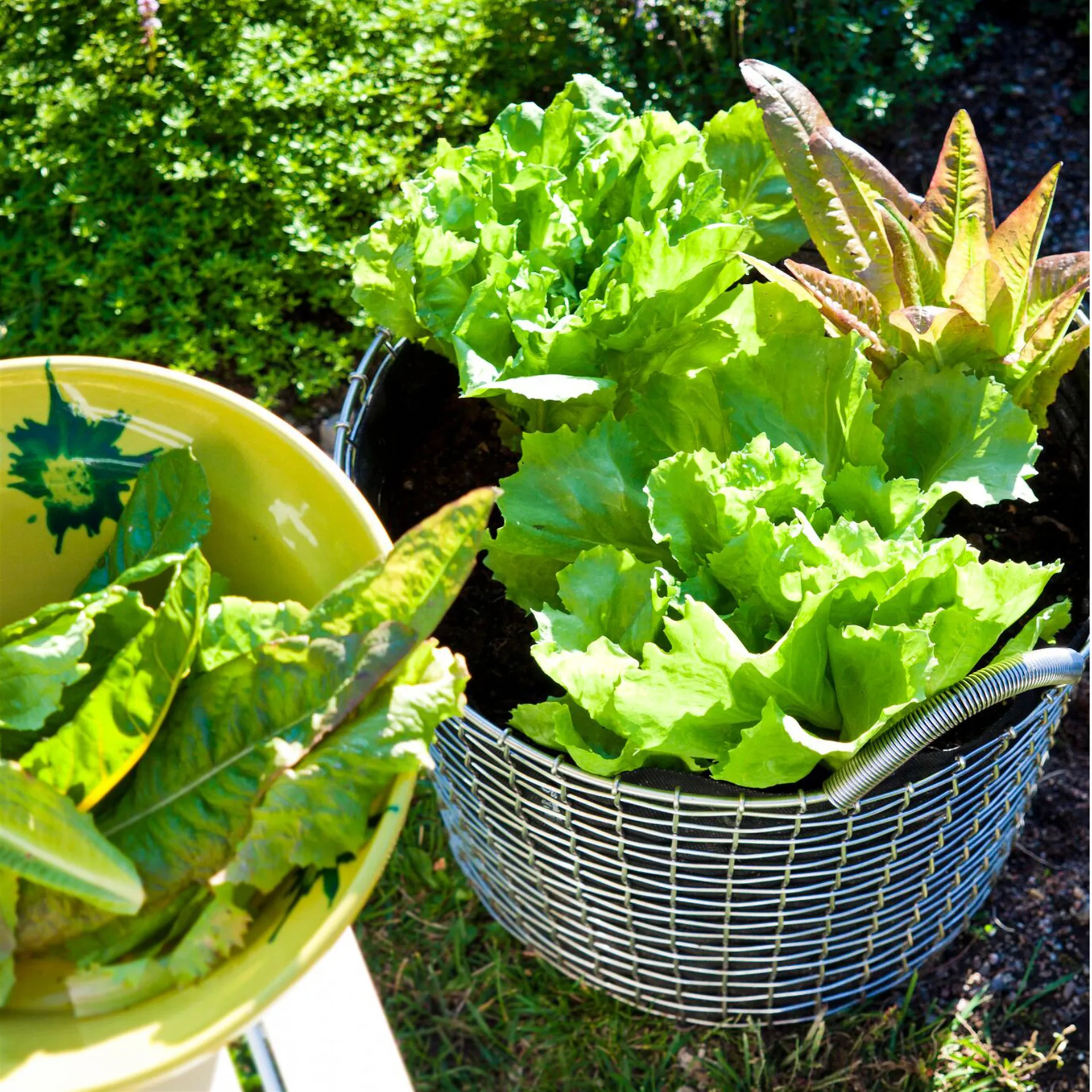 코르보 바구니 - 빈 24, galvanized steel KORBO | 코르보