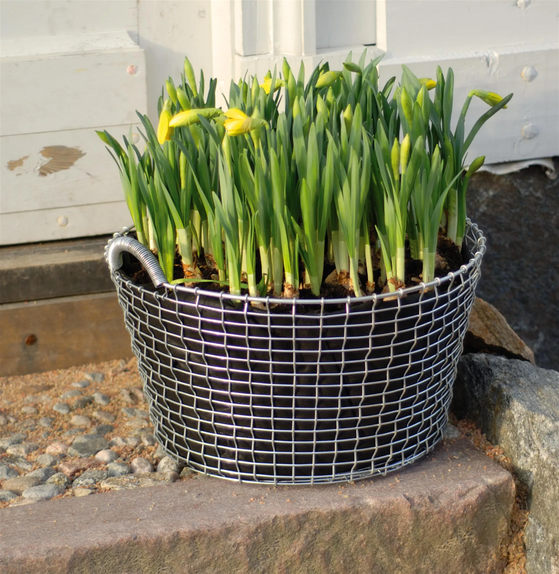 코르보 바구니용 플랜트 백 3개 세트, 24 l KORBO | 코르보