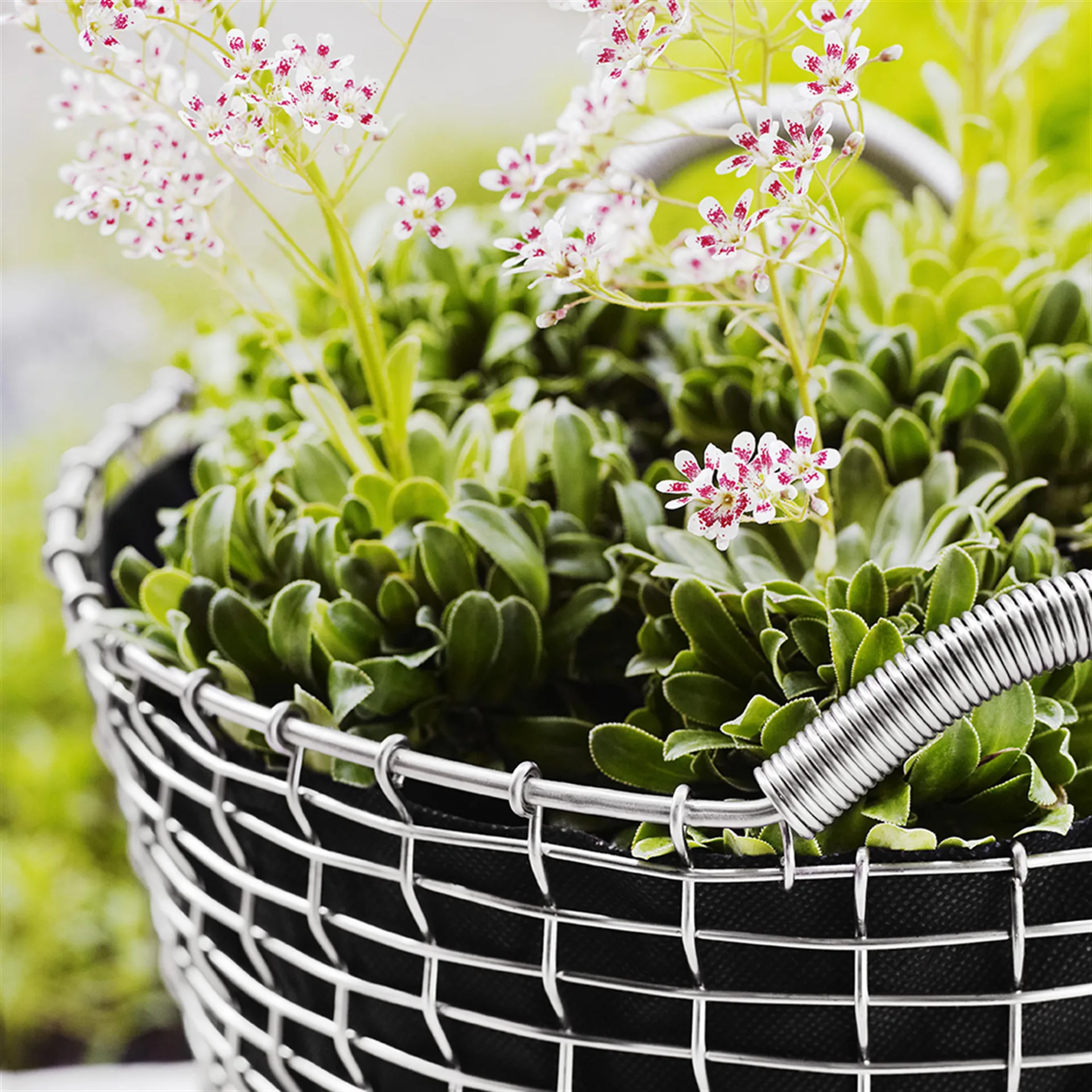 코르보 바구니 - 클래식 35, acid proof steel KORBO | 코르보