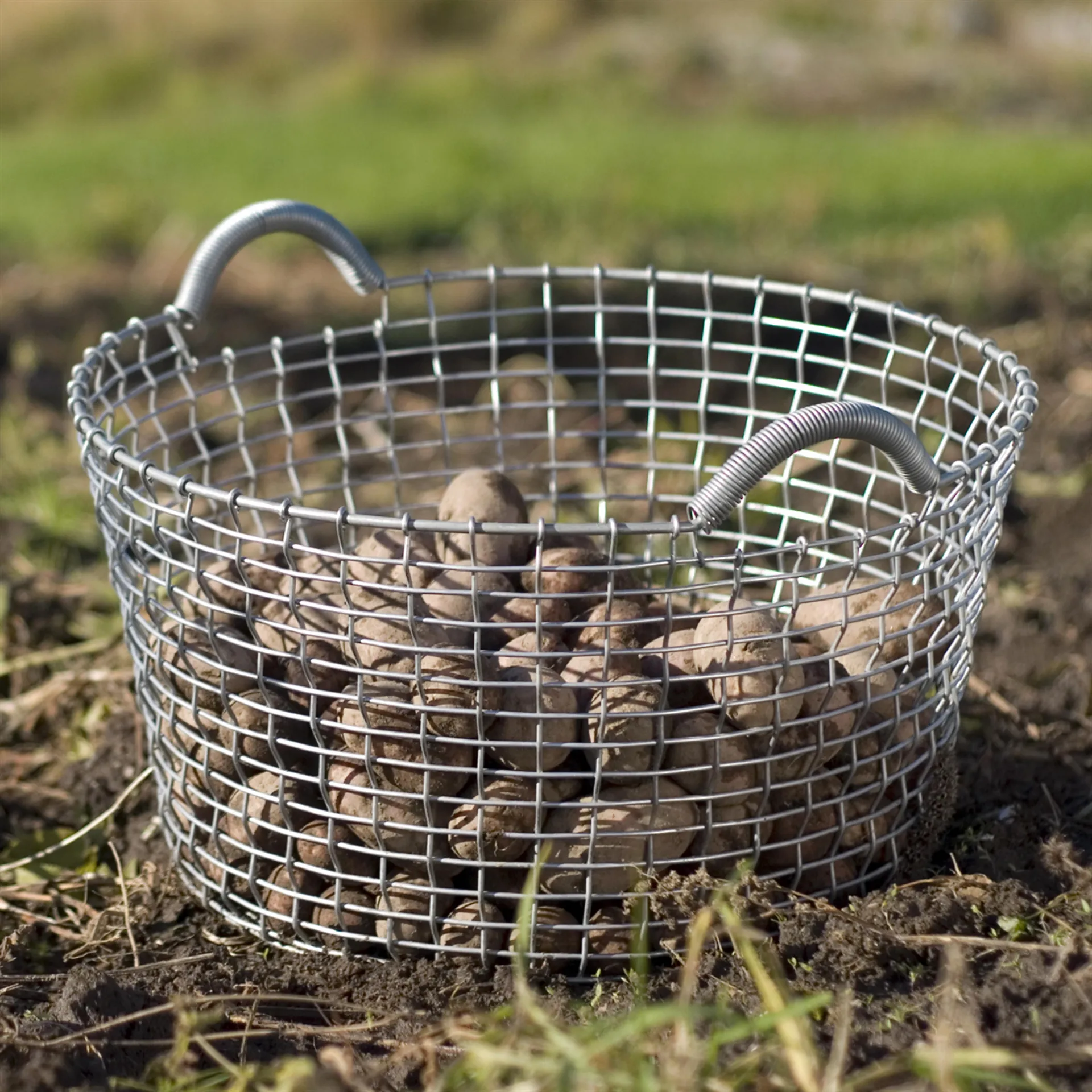 코르보 바구니 - 클래식 35, galvanized steel KORBO | 코르보