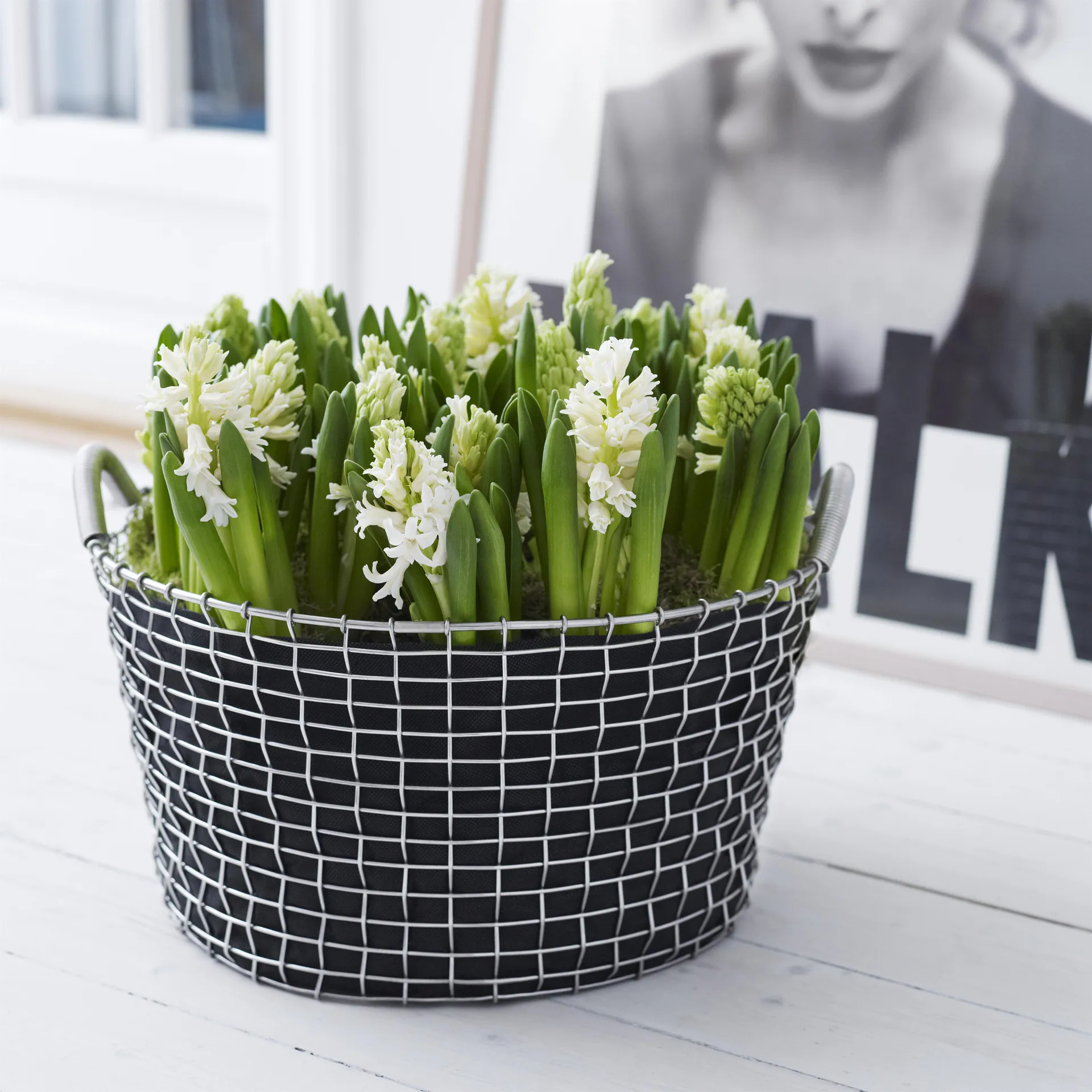 코르보 바구니 - 클래식 35, galvanized steel KORBO | 코르보