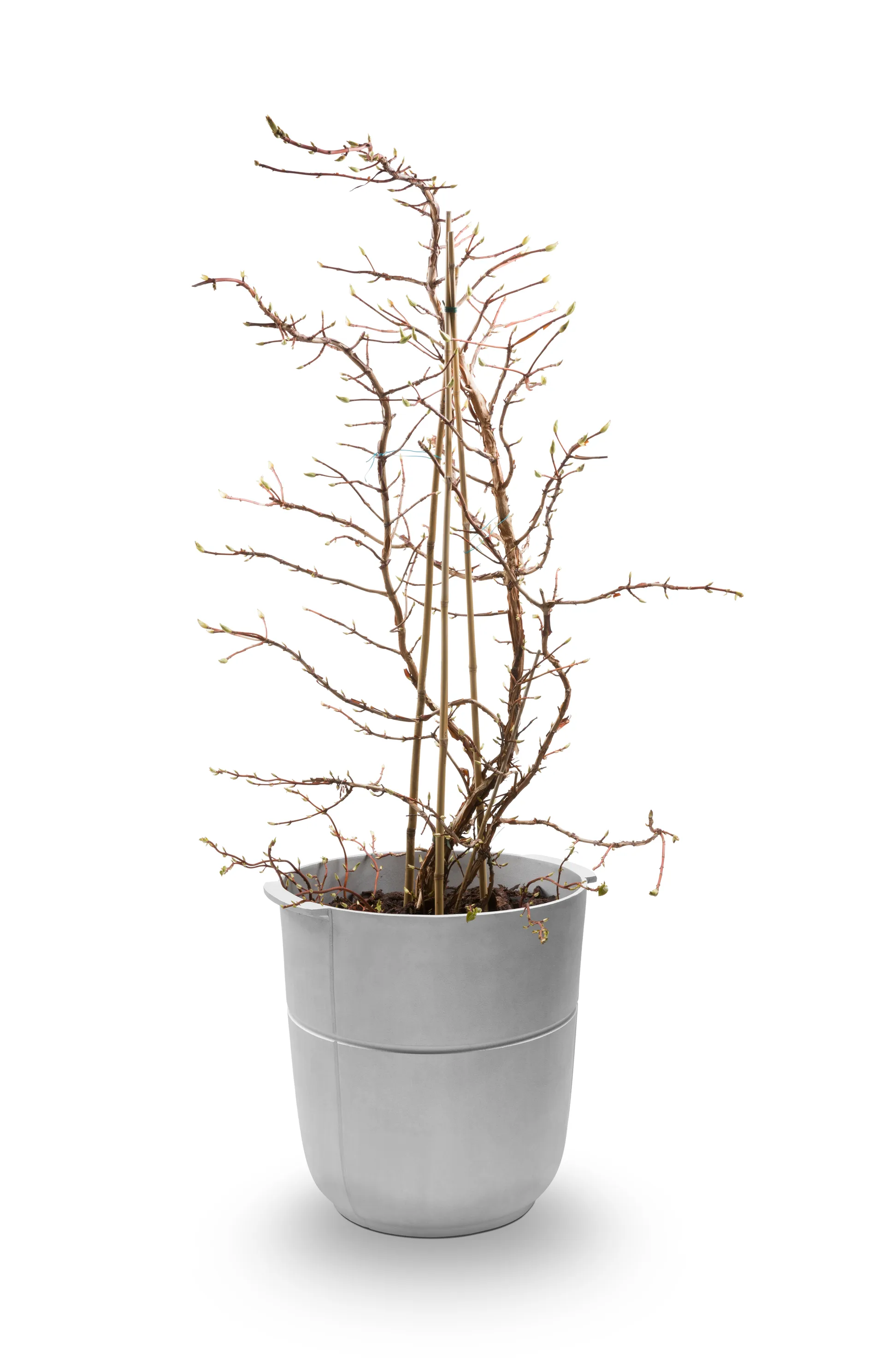 리네아 화분 no 1 하이, Aluminium KORBO | 코르보