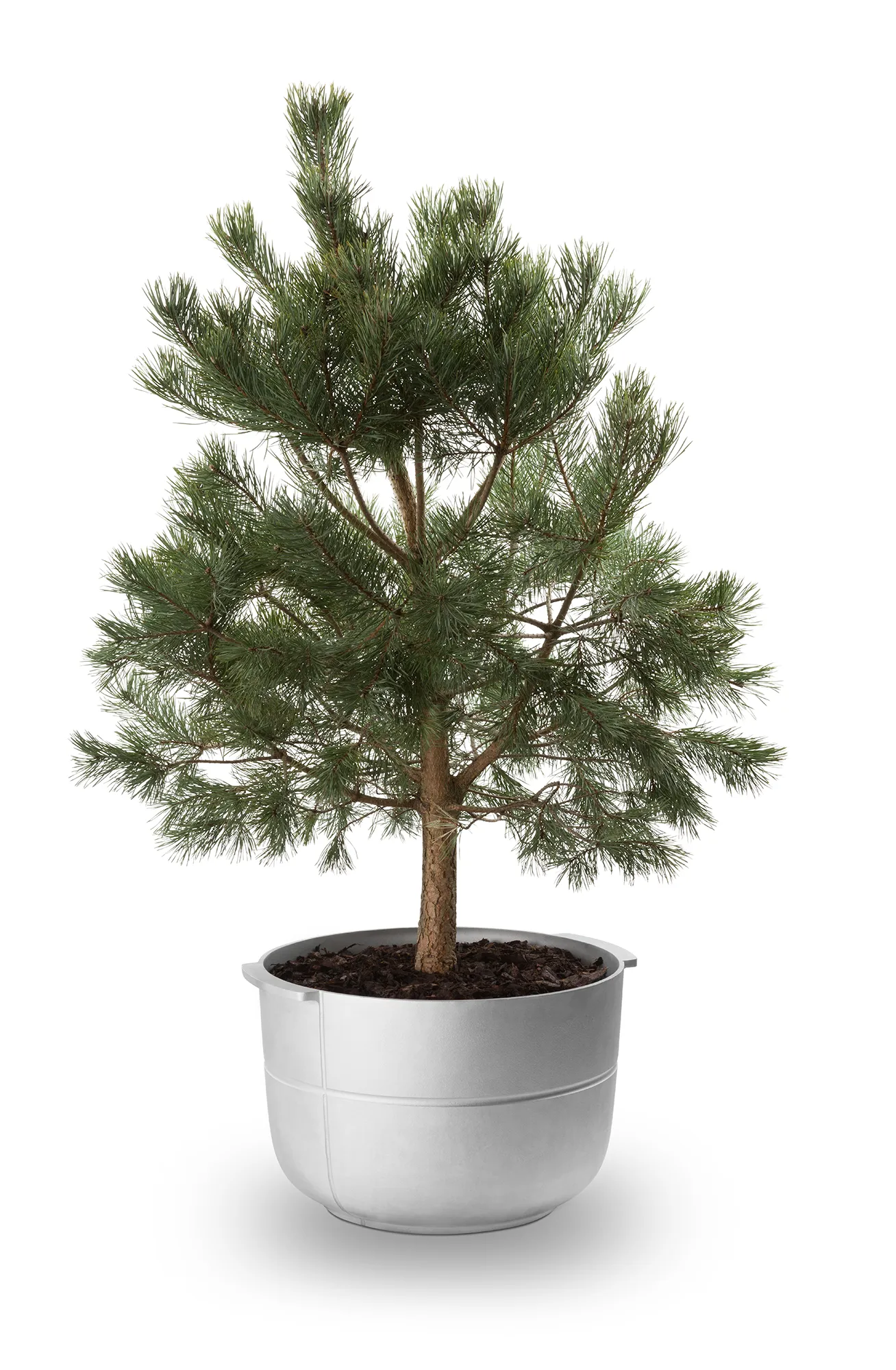 리네아 화분 No. 2 미디엄, Aluminium KORBO | 코르보