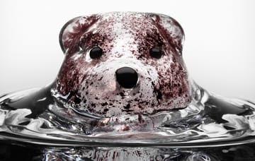 뉴 프렌즈 글라스 46 cl - bear tumbler - Kosta Boda | 코스타보다