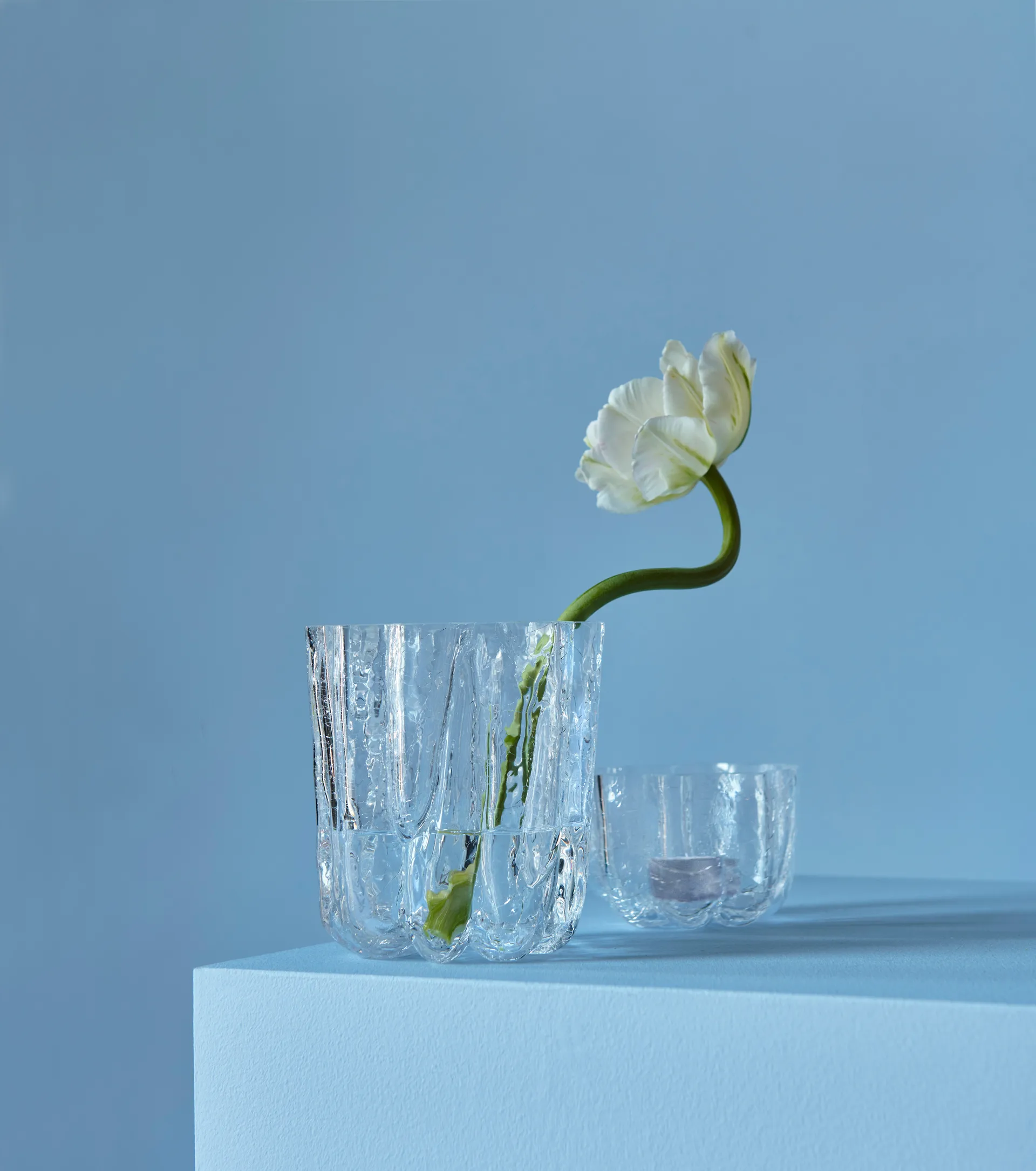 크래클 캔들 홀더 5.8 cm, Clear Kosta Boda | 코스타보다