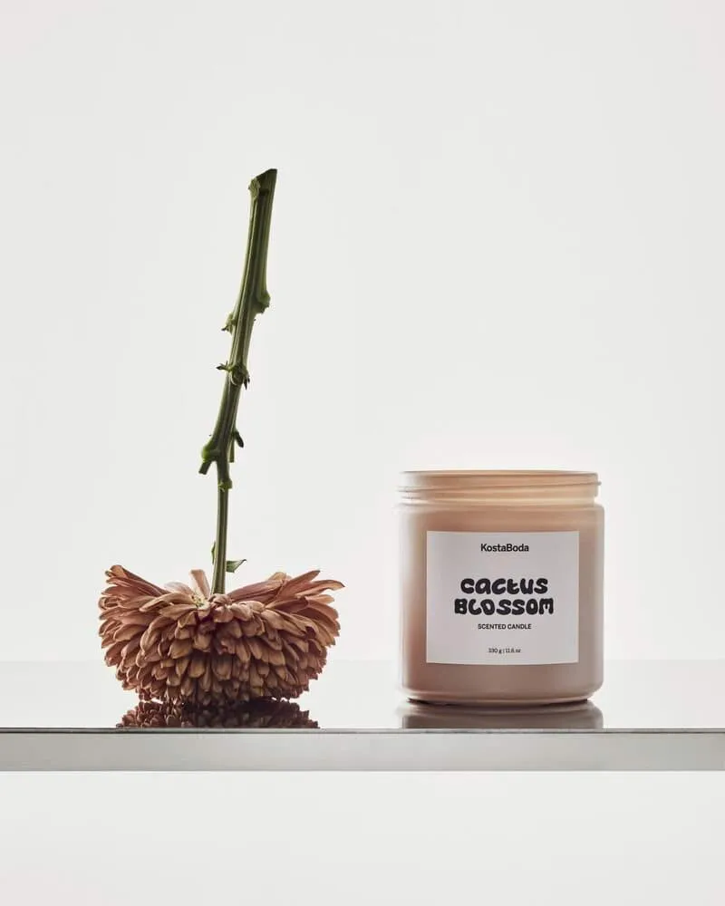 마인드 향초, Cactus Blossom, 330 g Kosta Boda | 코스타보다