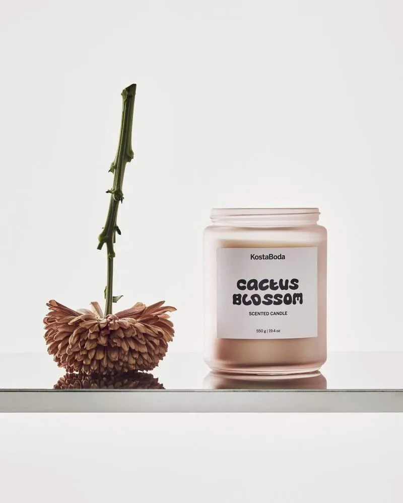 마인드 향초, Cactus Blossom, 550 g Kosta Boda | 코스타보다