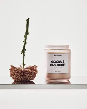 마인드 향초 - Cactus Blossom, 550 g - Kosta Boda | 코스타보다