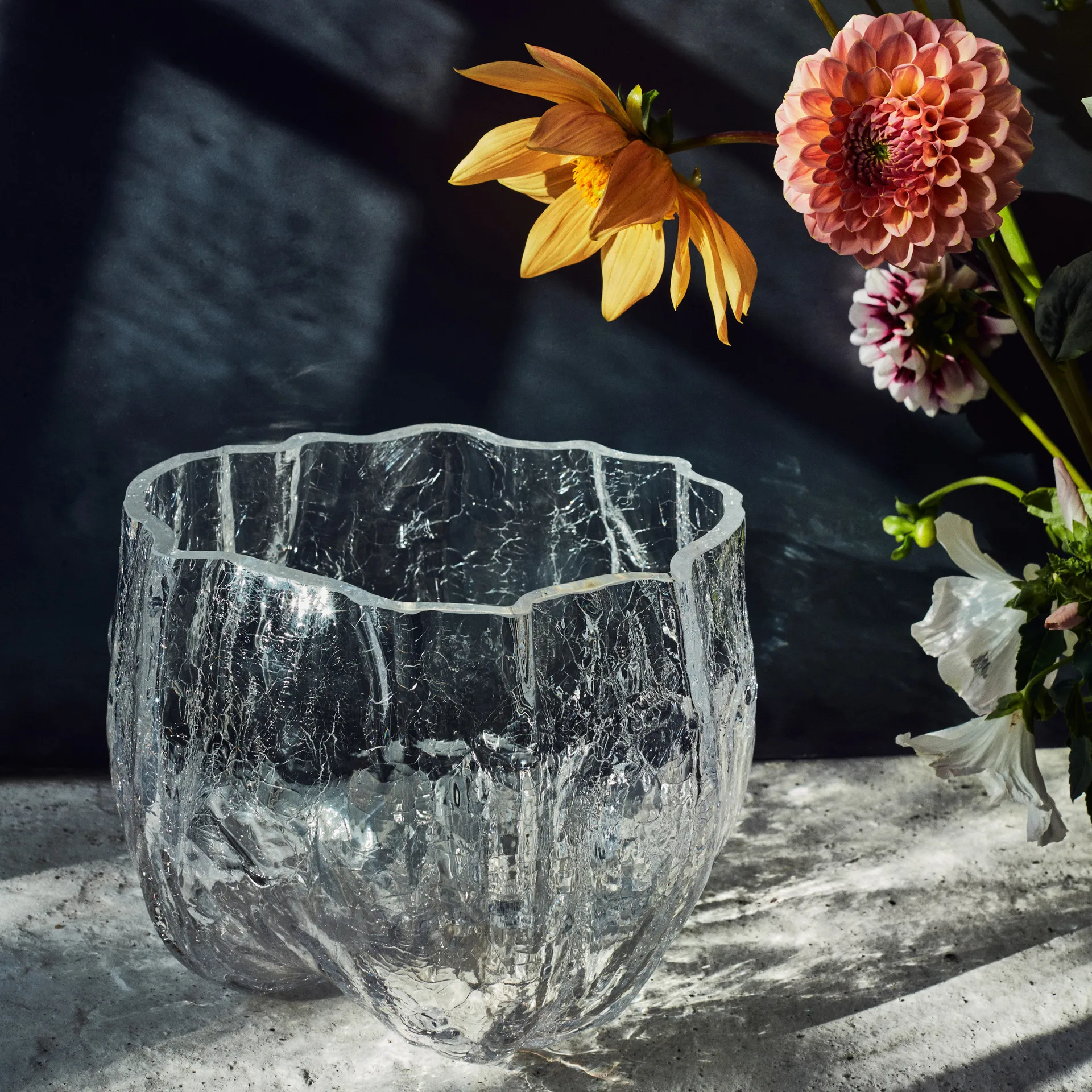 크래클 보울 라지, clear Kosta Boda | 코스타보다