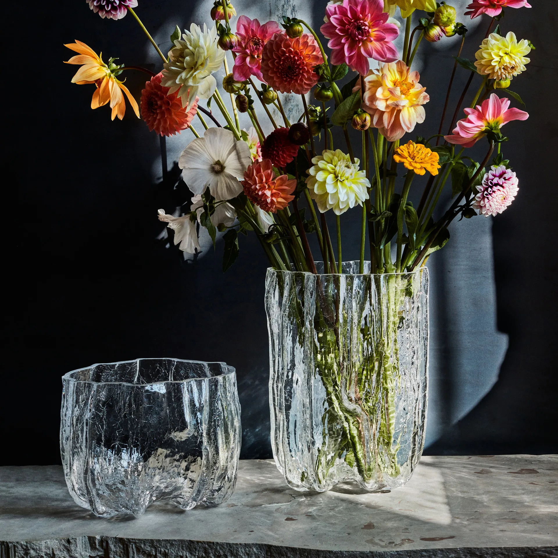 크래클 보울 라지, clear Kosta Boda | 코스타보다