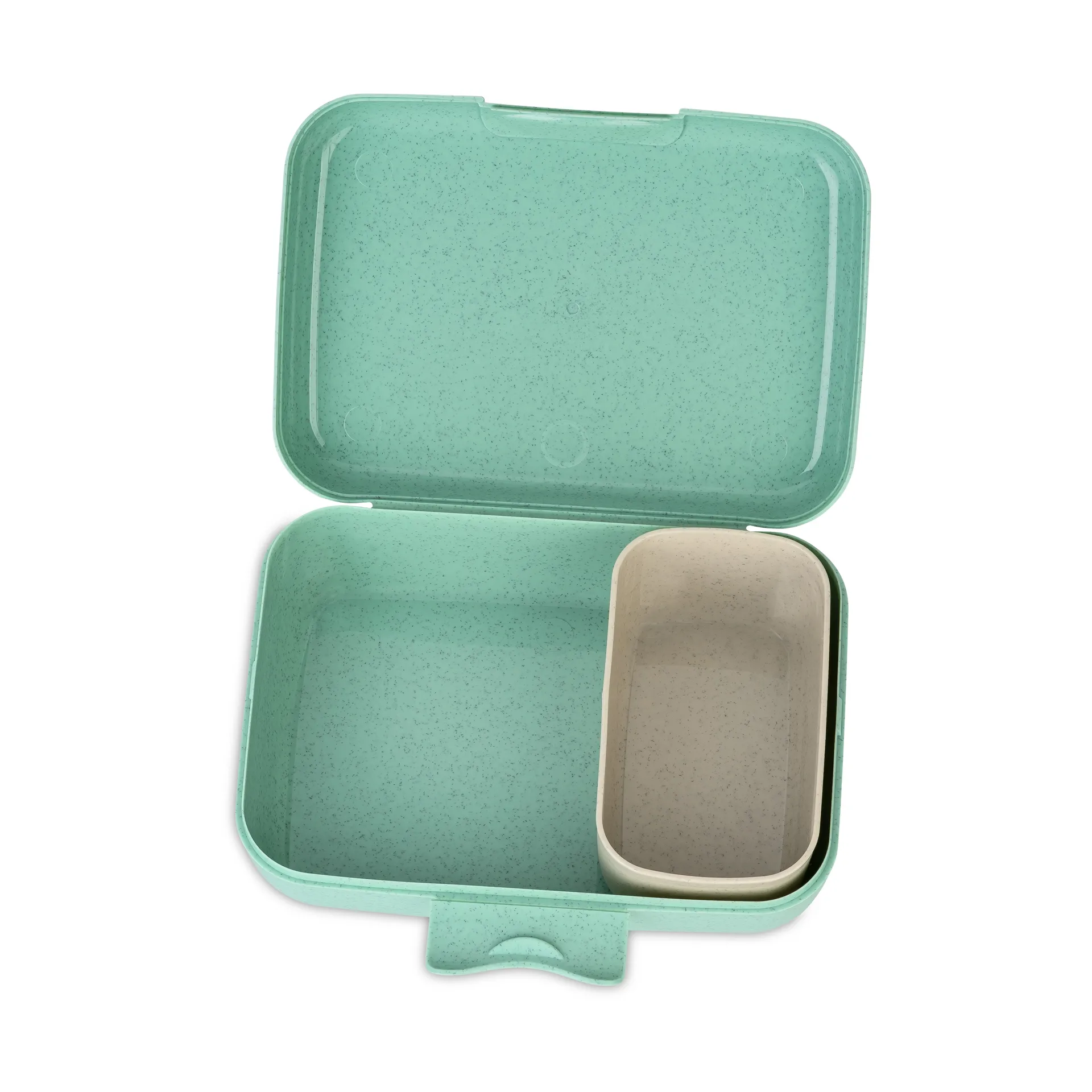 캔디 런치박스 L, Dinosaur Koziol | 코지올