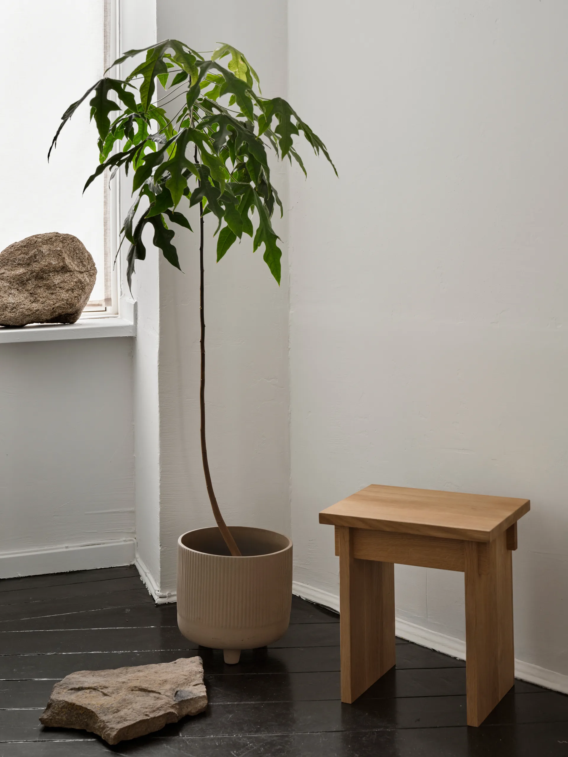 아티산 스툴 30x40 cm, Warm lacquered oak Kristina Dam Studio | 크리스티나 댐 스튜디오