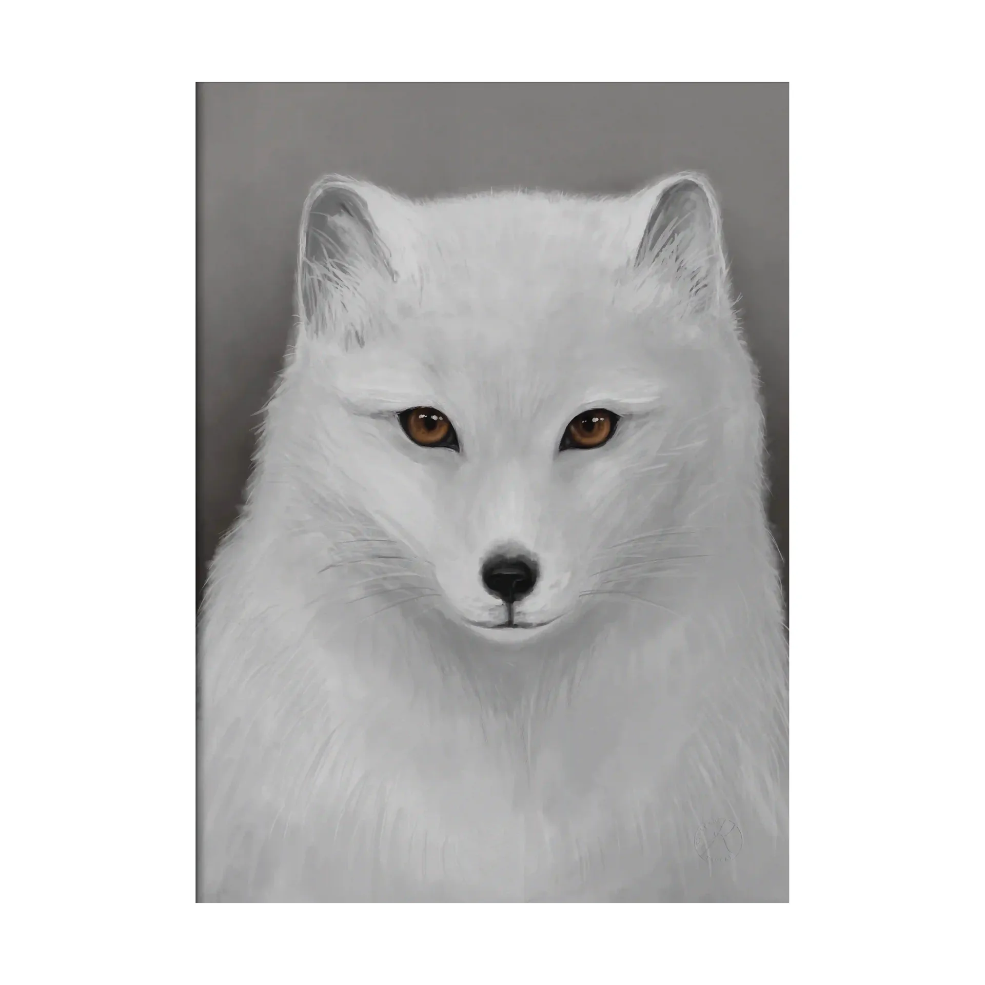 Arctic fox 포스터, 30x40 cm Kunskapstavlan®