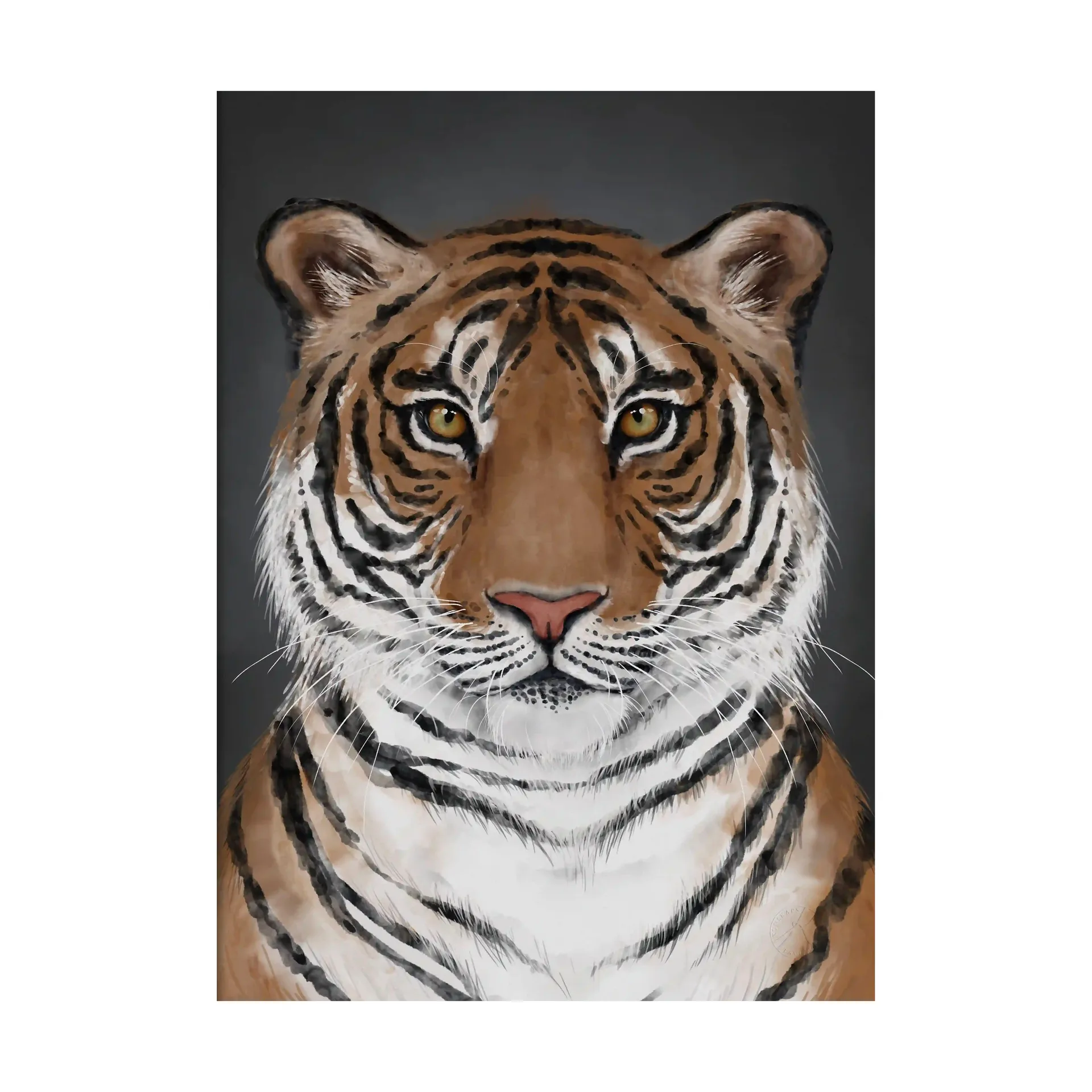 Tiger 포스터, 50x70 cm Kunskapstavlan®