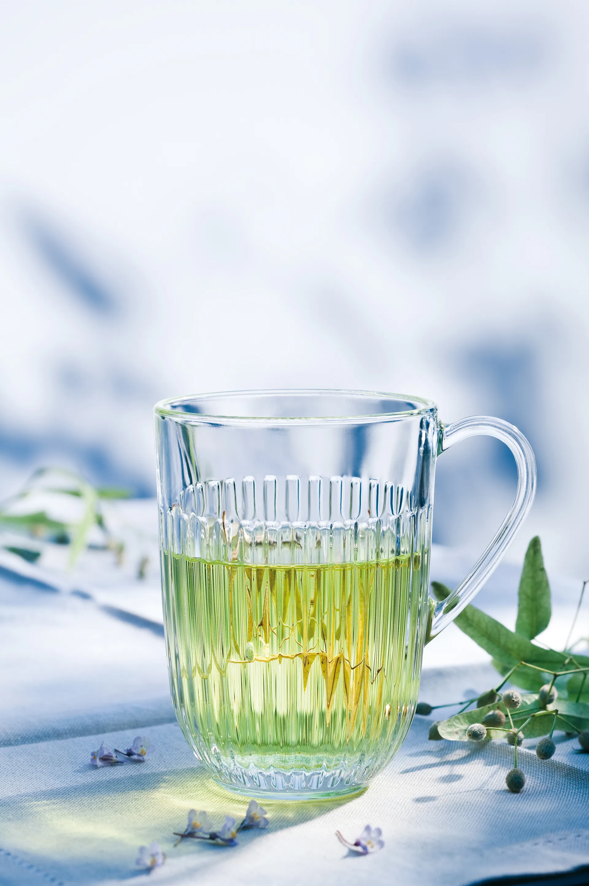 Ouessant 머그 40 cl 6개 세트, Clear La Rochère | 라 로쉐