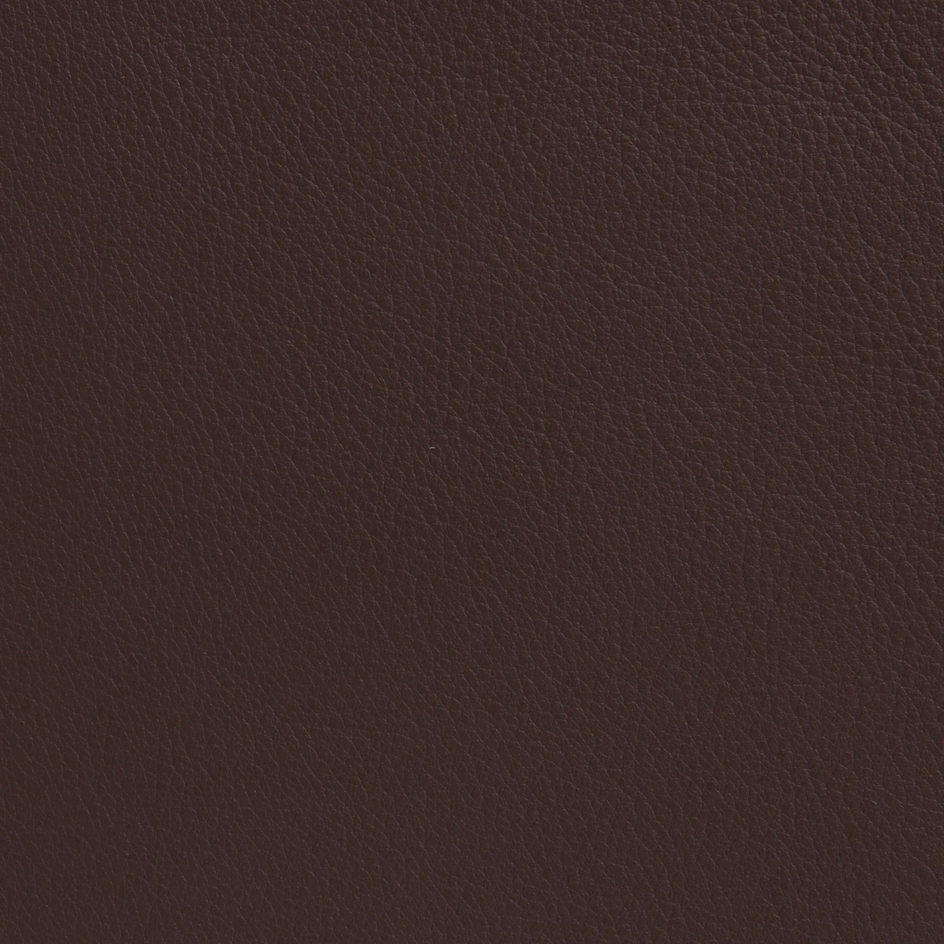시네마 암체어, Elmo Nordic leather dark brown–chrome frame Lammhults |람훌츠