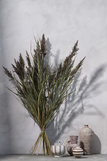 아니비아 화분 Ø14 cm - Golden brown - Lene Bjerre | 르네 비에르