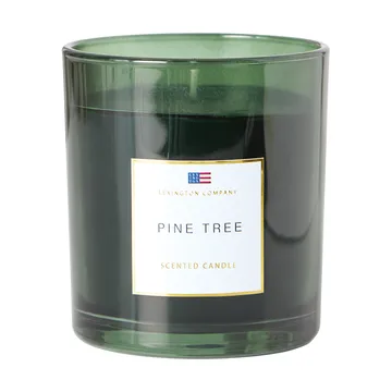 파인 트리 향초 - Pine Tree 향초 - Lexington | 렉싱턴