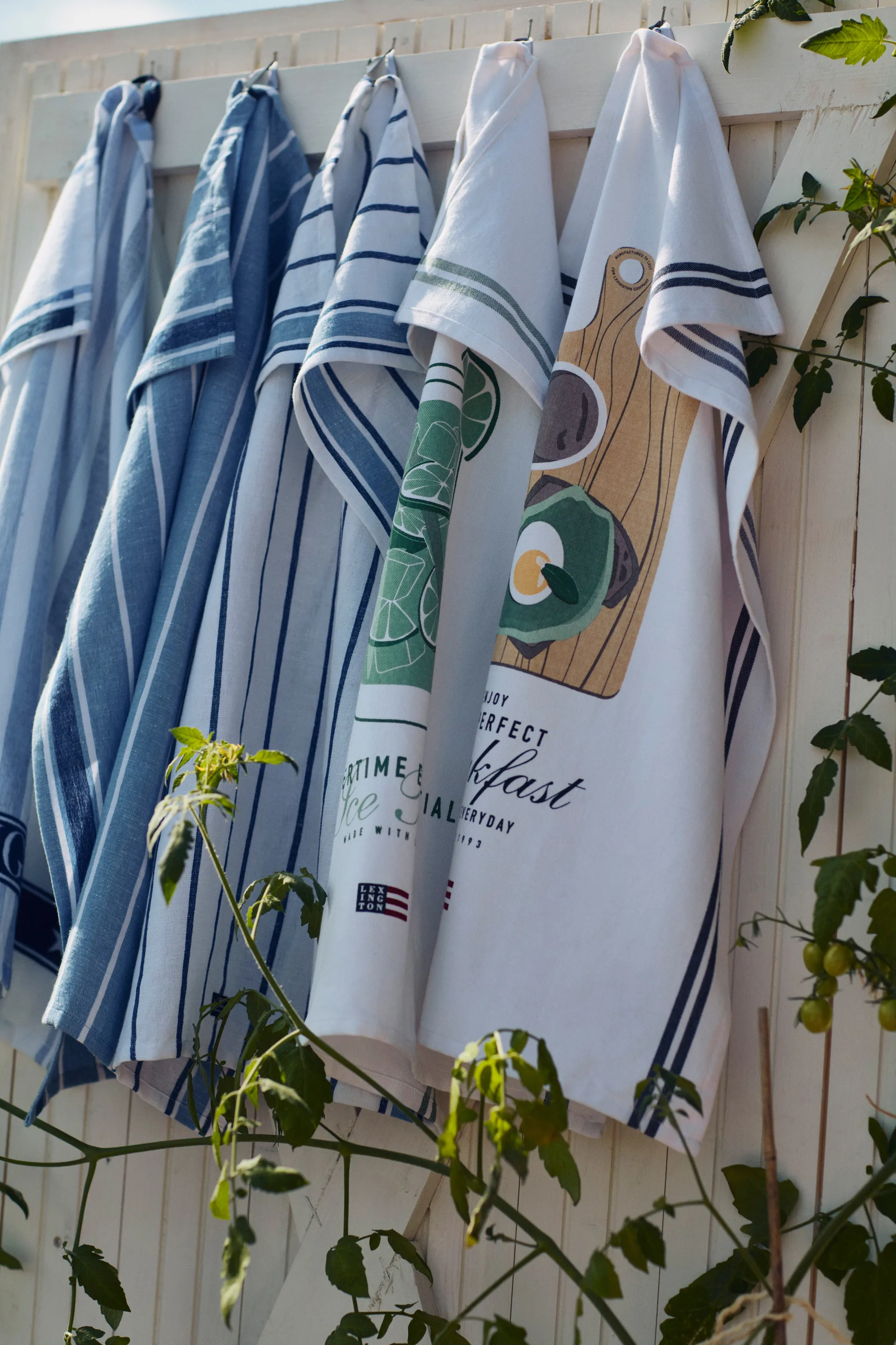 스트라이프 코튼 Terry 주방 타올 50x70 cm, White-blue Lexington | 렉싱턴