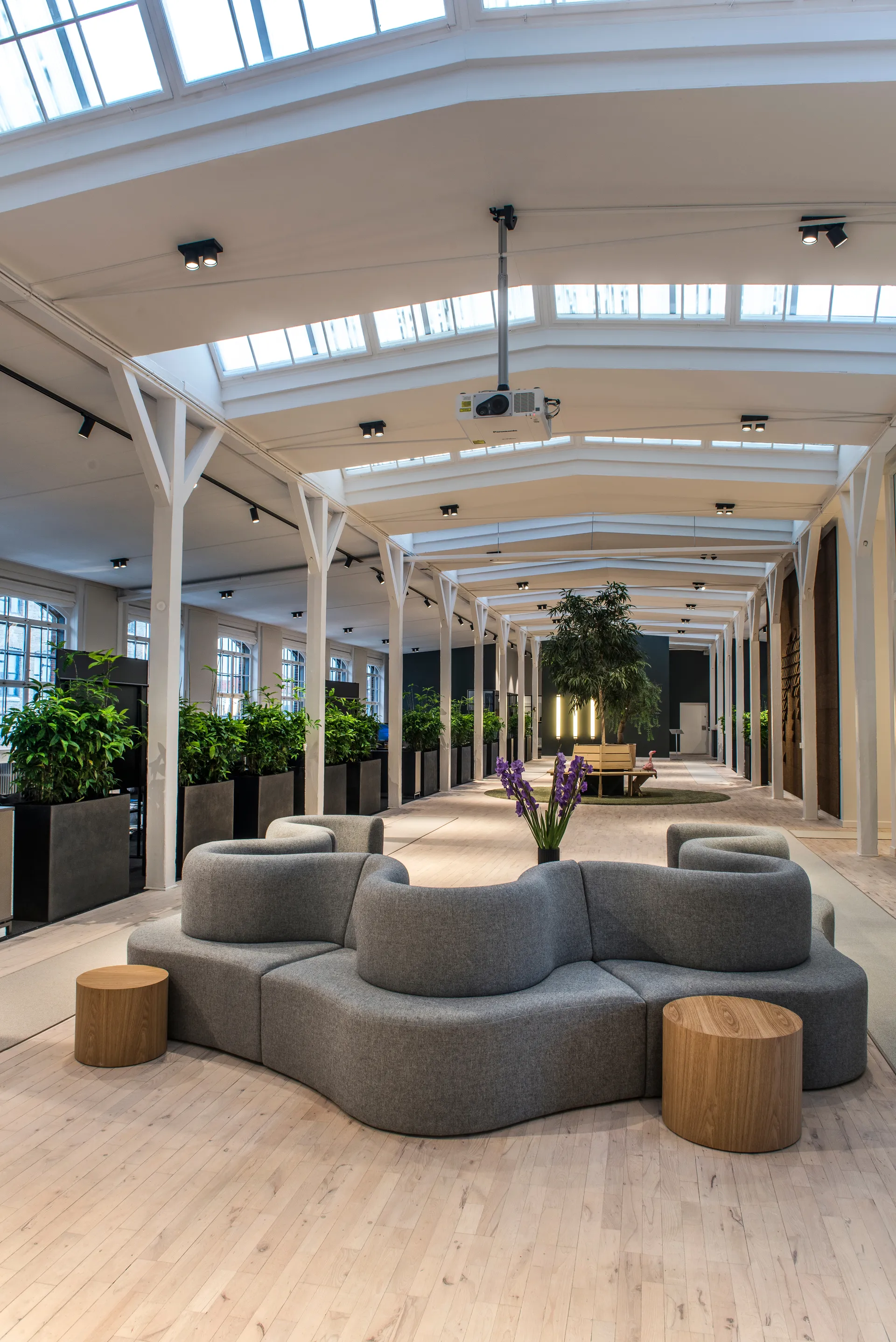 포커스 2 벽·천장 조명 스위치 튠, Black Light-Point | 라이트-포인트