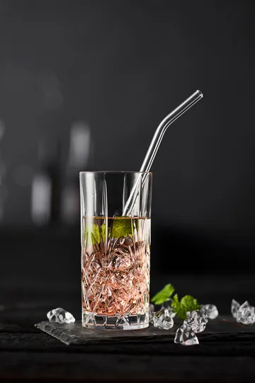 링비 유리 빨대 21.5 cm 6개 세트 - Clear - Lyngby Glas | 링비 글라스