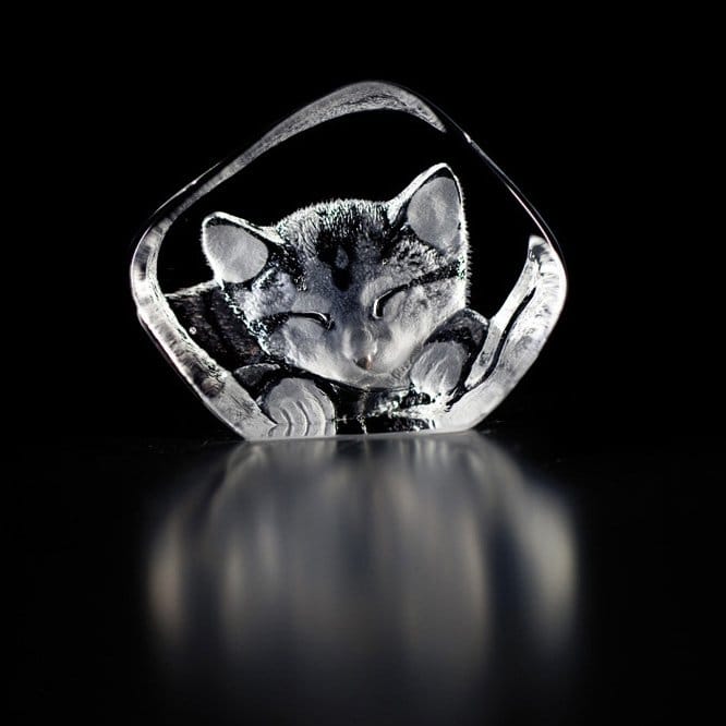 와일드라이프 캣 조각 - glass - Målerås glasbruk | 몰레로스 글라스브룩