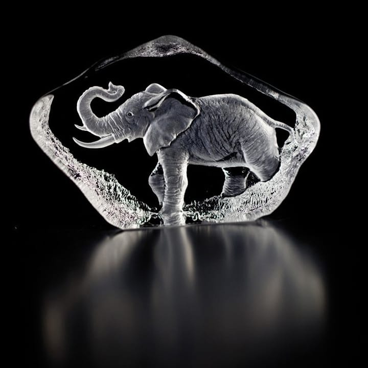 와일드라이프 엘리펀트 조각, glass Målerås glasbruk | 몰레로스 글라스브룩