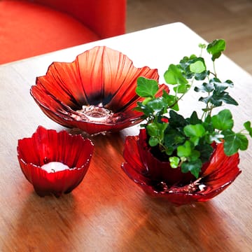 포피 보울 medium - red-black - Målerås glasbruk | 몰레로스 글라스브룩