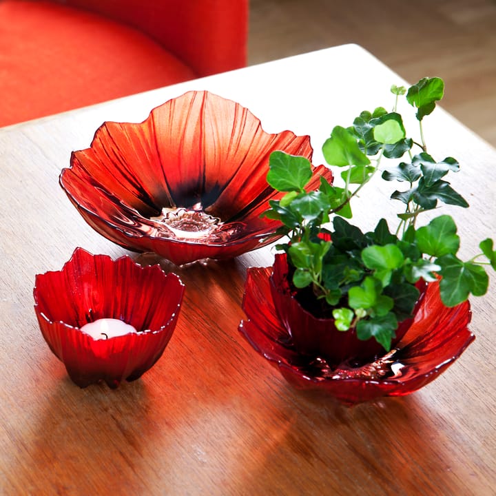 파�피 보울 라지, red-black Målerås glasbruk | 몰레로스 글라스브룩