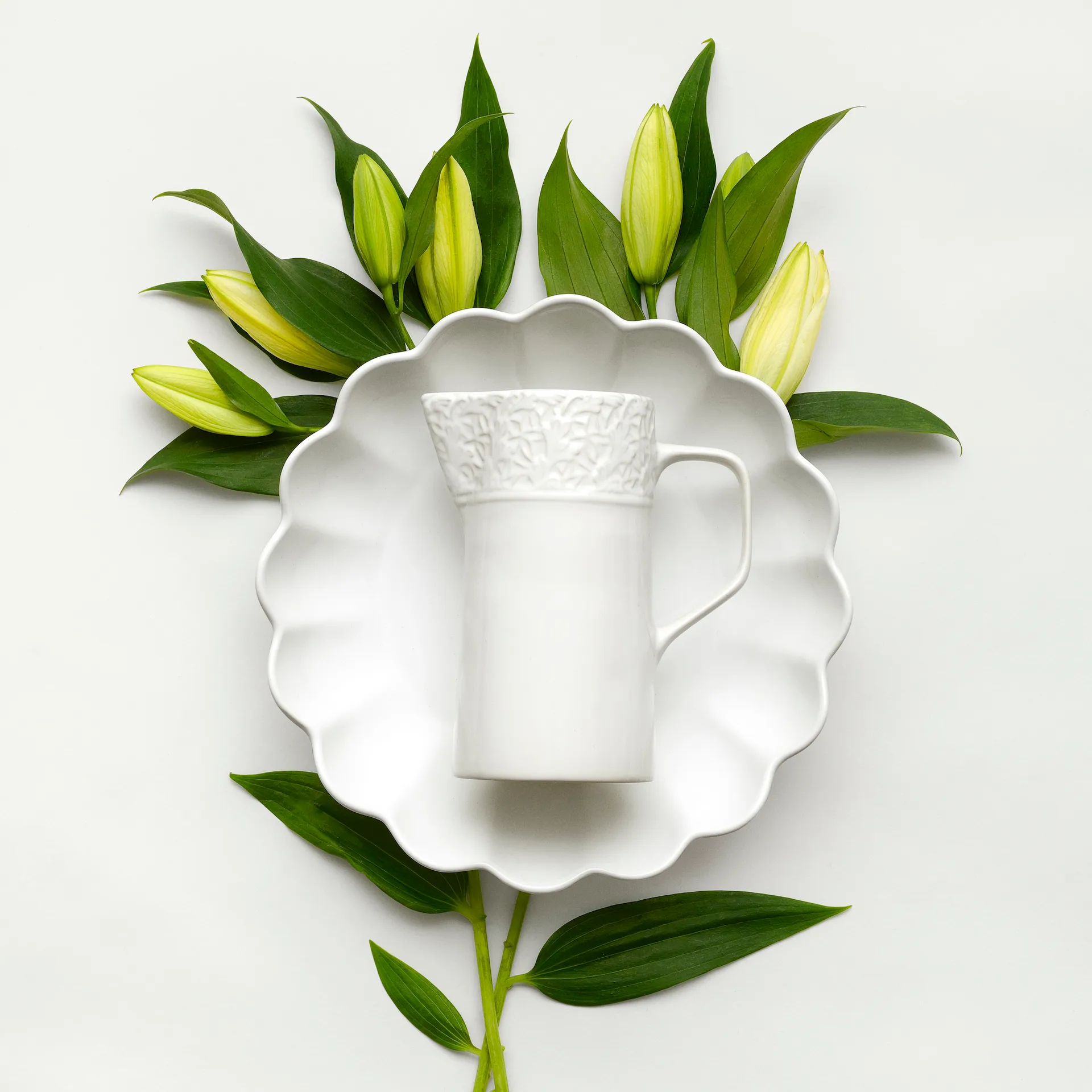 레이스 저그 1.2 l, White Mateus | 마테우스