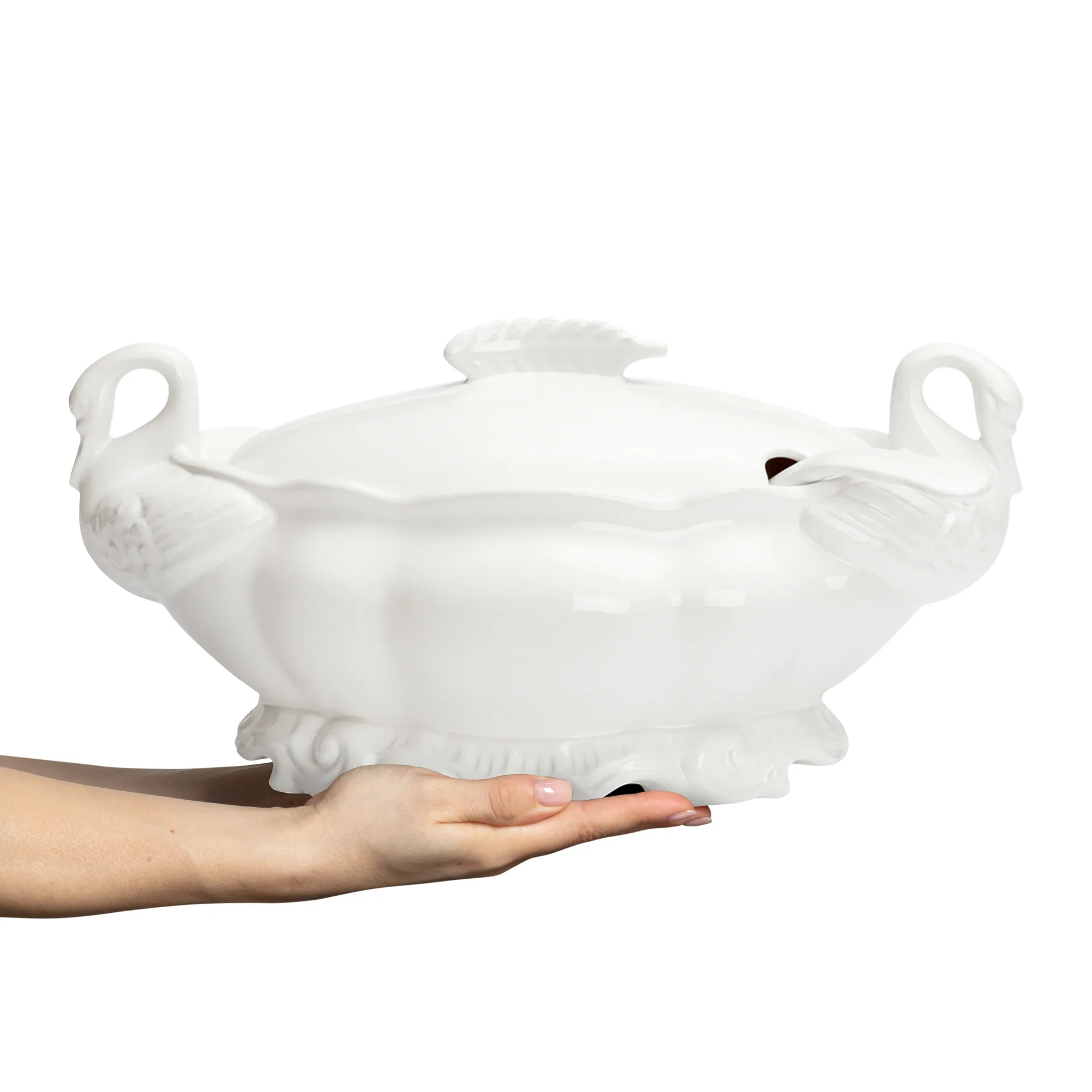 레이스 테린 4.7 리터, White Mateus | 마테우스