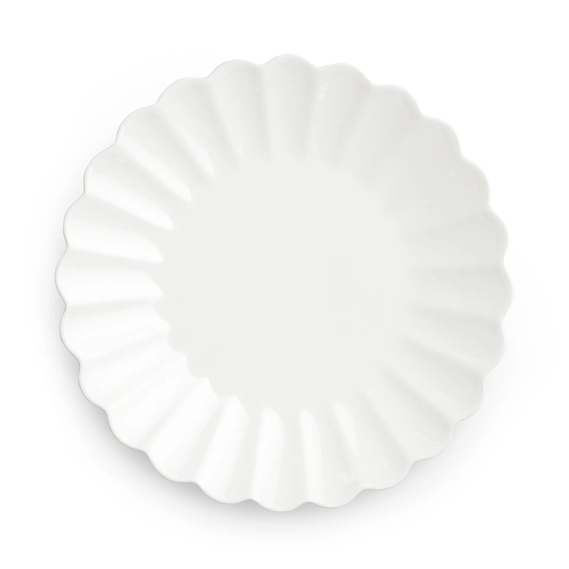 Oyster 플레이트 20 cm, White Mateus | 마테우스